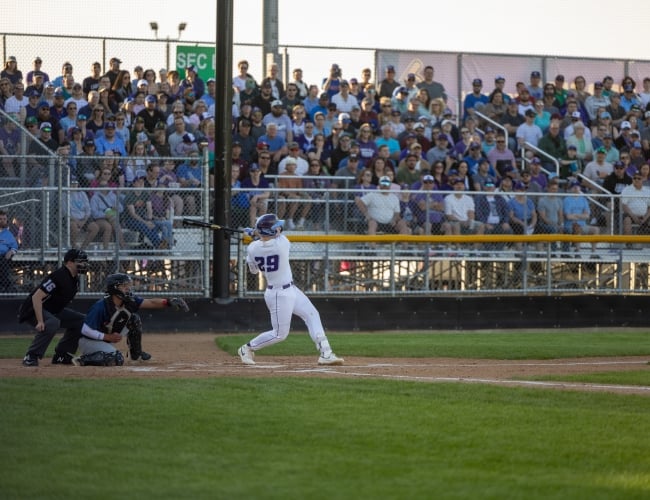 Saskatoon Berries in game photo