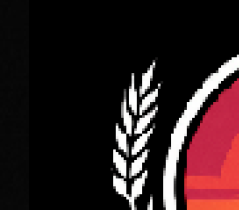 Outskirts music festival logo