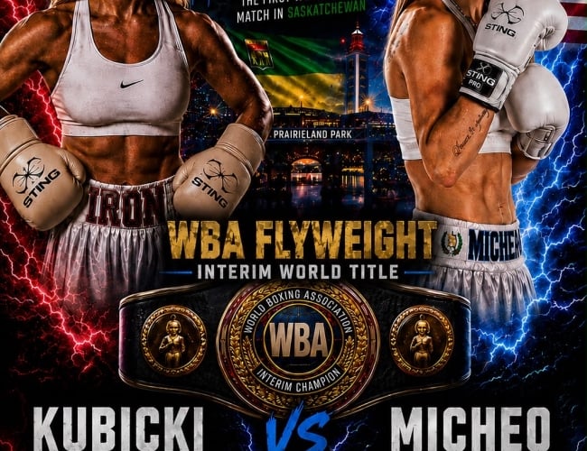 professional boxing