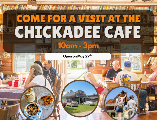 Come Visit the Chickadee Cafe 