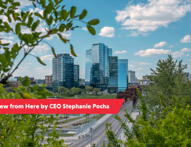 CEO Blog Header