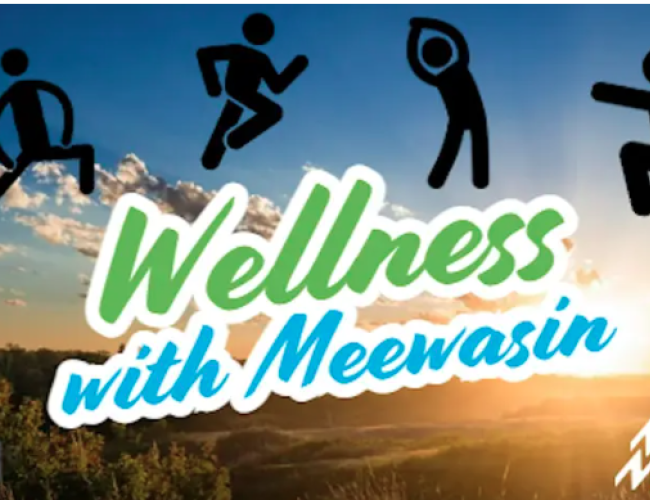 wellness with meewasin poster