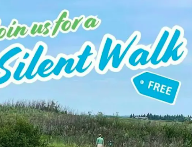 Silent Walk poster