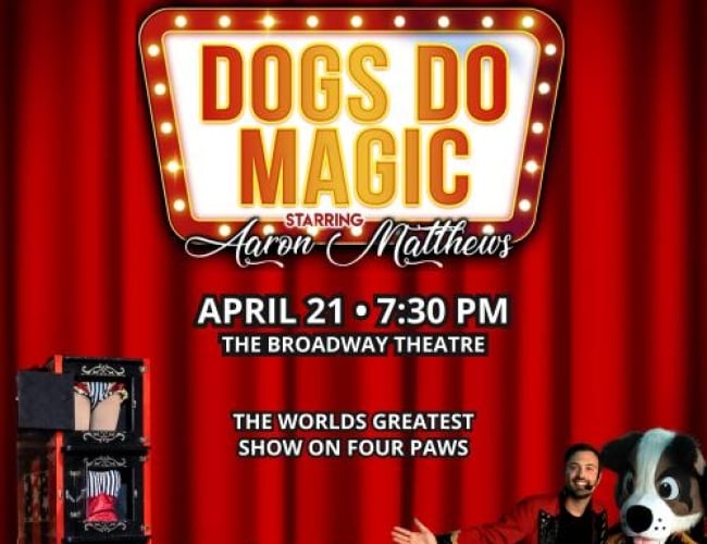 Image of a theatre stage with red curtains drawn, dogs smiling and people dressed up as magicians.