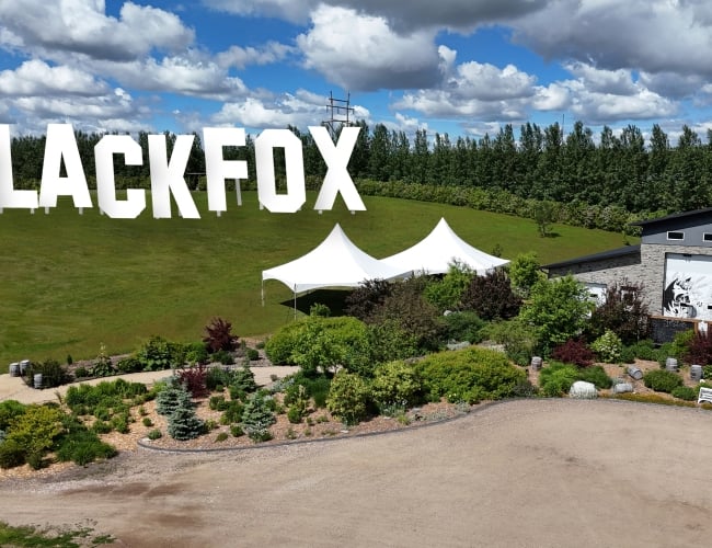 Black Fox