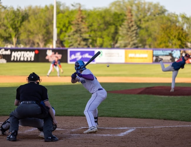 Berries Baseball