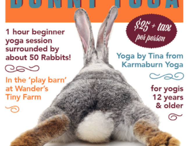 Bunny yoga poster