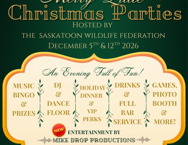 Poster for xmas parties december 5 and 12