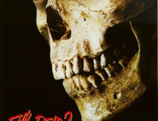 Image of a skull facing the left slightly but with brown eyes still in it, looking at you.