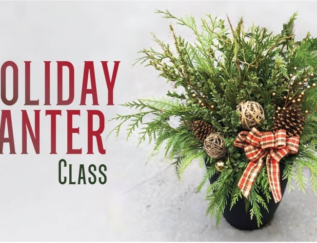 In this Holiday Planter Class, we’ll teach you how to make your very own outdoor winter arrangement