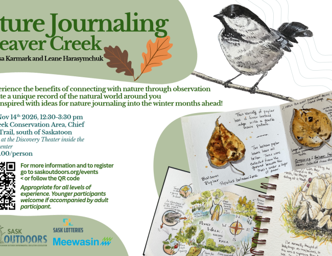 Nature Journaling at Beaver Creek