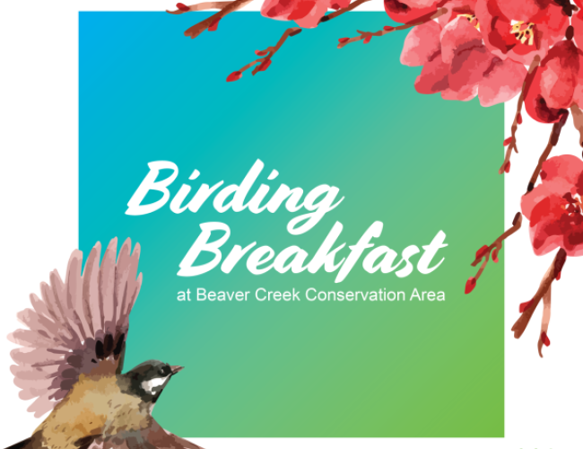 Birding Breakfast- Meewasin Valley - Birdingbreakfast