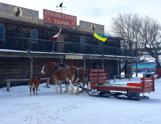 Champêtre County – Howling Coyote Saloon