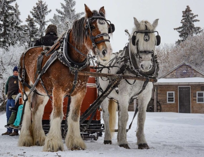 Champêtre County – Champetre Sleigh Rides