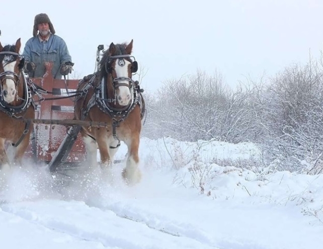 Uniglobe Carefree Travel Group – Champetre Sleigh Rides