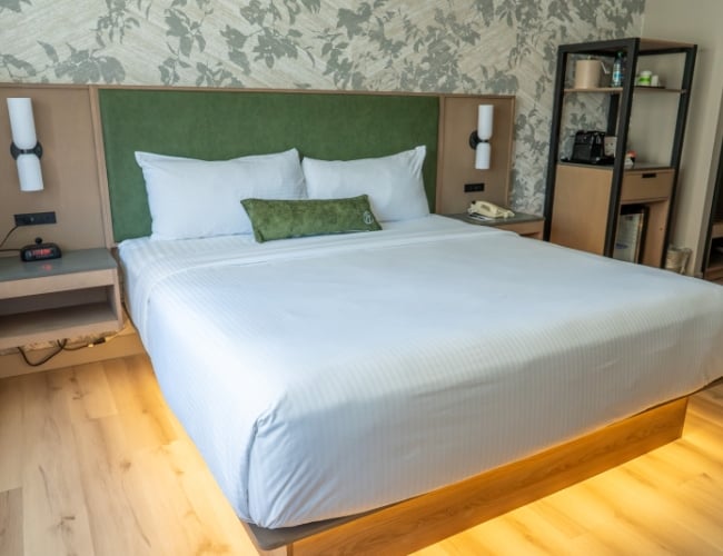 Park Town Hotel - King City View