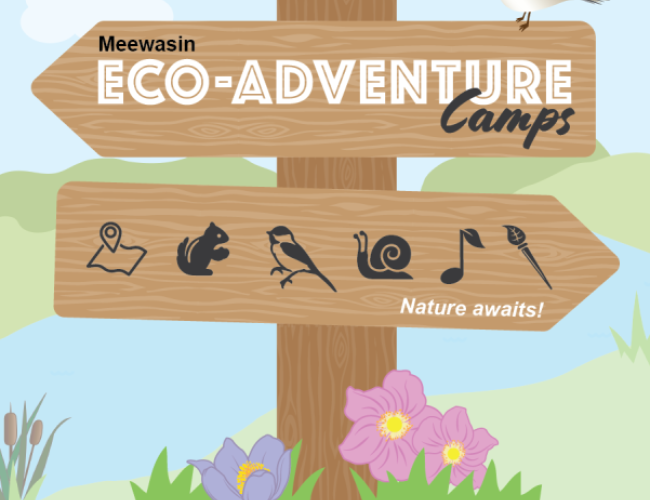 EcoAdventure Camps – EcoAdventure Camps