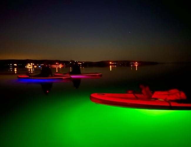 Glow Stand Up Paddle Board- Back 2 Nature – Glow Paddle Board
