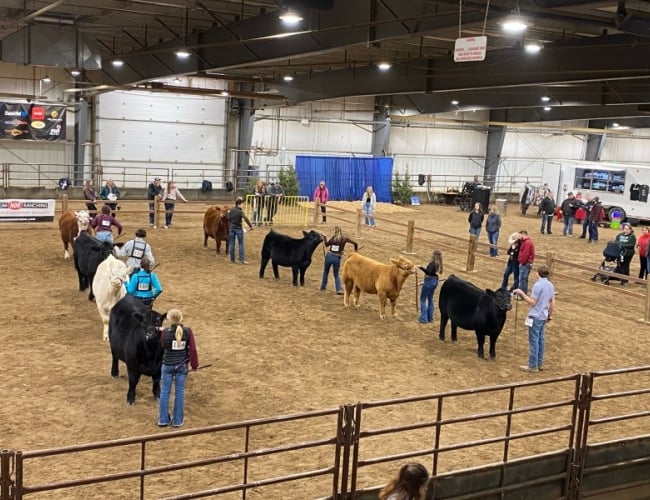Saskatchewan Beef Expo – 2022 SBE Showmanship