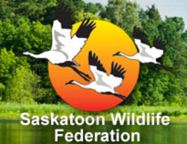 Saskatoon Wildlife Federation Sports & Leisure Show – Sports And Leisure Show