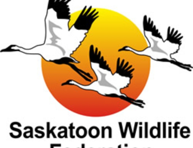 Saskatoon Wildlife Federation – Saskatoon Wildlife