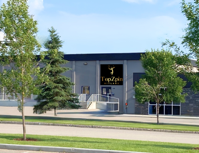 Topzpin Hitlabs - 2