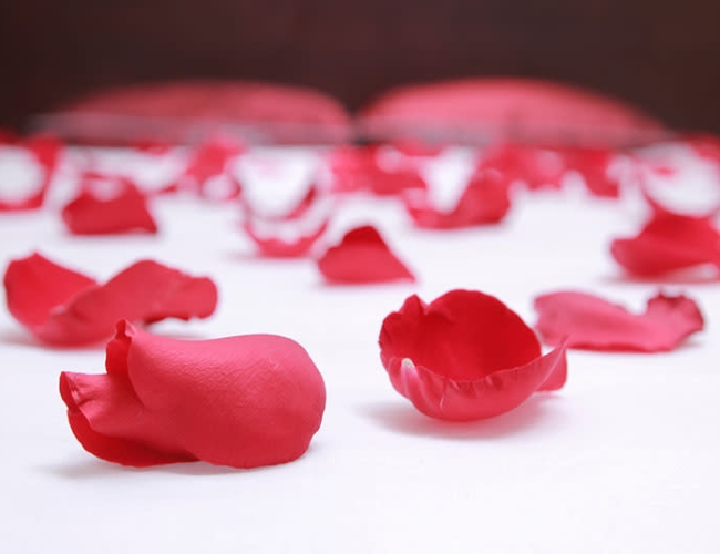 The James Hotel La Vie En Rose Package Discover Saskatoon