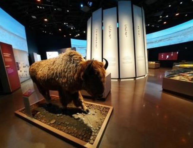 Wanuskewin