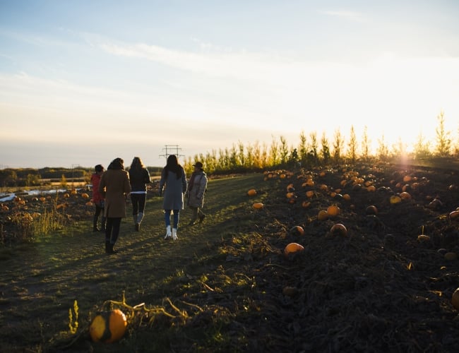 A fall weekend in Saskatoon 