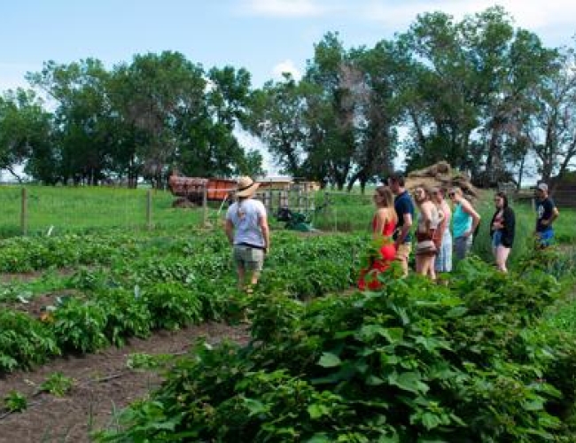 Dinner at Odla or Farm One Forty