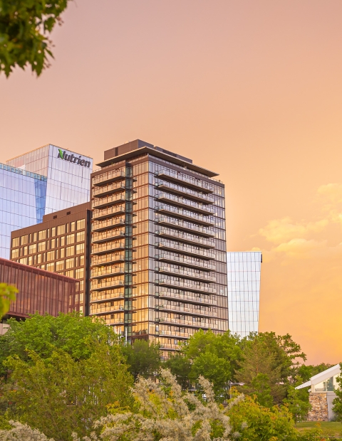 City Buildings against a sunset with trees in the foreground 