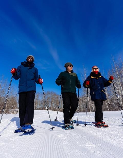 three individuals cross-country skiing 