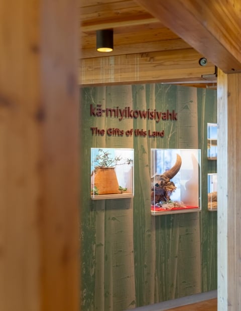 The Gifts of This Land Display at Wanuskewin
