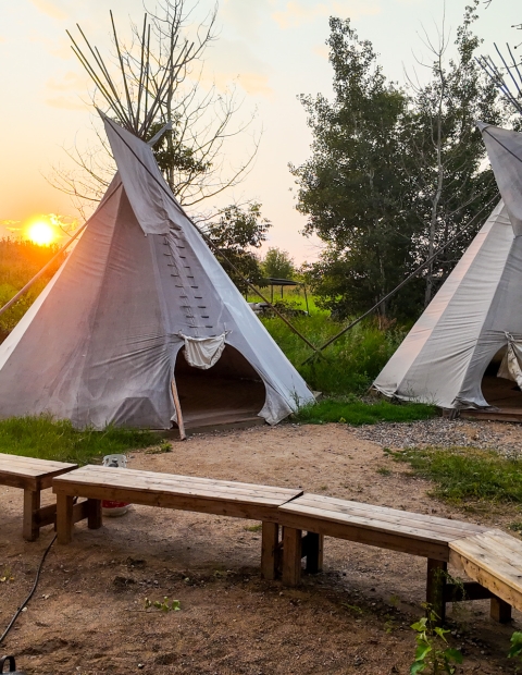 Your Guide to a Memorable Weekend in Saskatoon: Top Attractions and Hidden Gems
