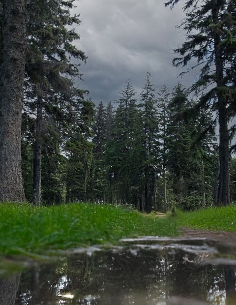 rain