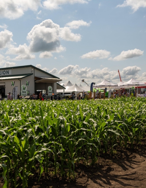 Agricultural Experiences 