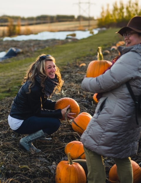 Pumpkin Picking