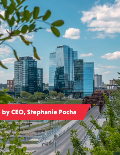 CEO Blog Header - Updated