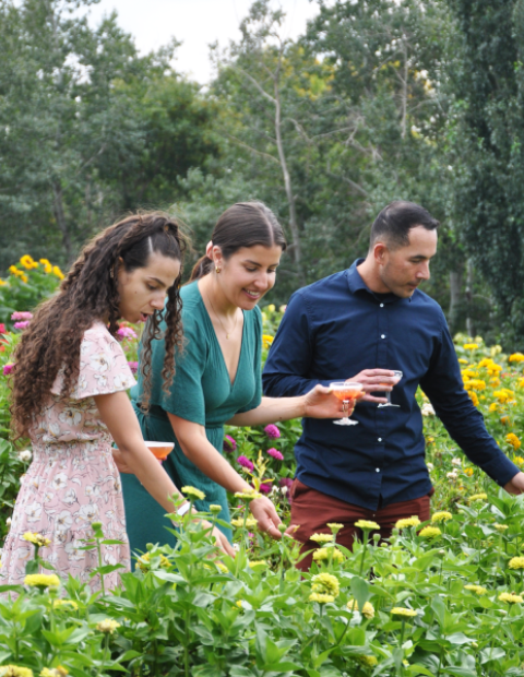 Mixed uPick Flower Experience - Mixed UPick Flower Experience