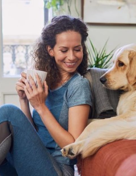 Holiday Inn Express & Suites Saskatoon Centre - Pet Getaway