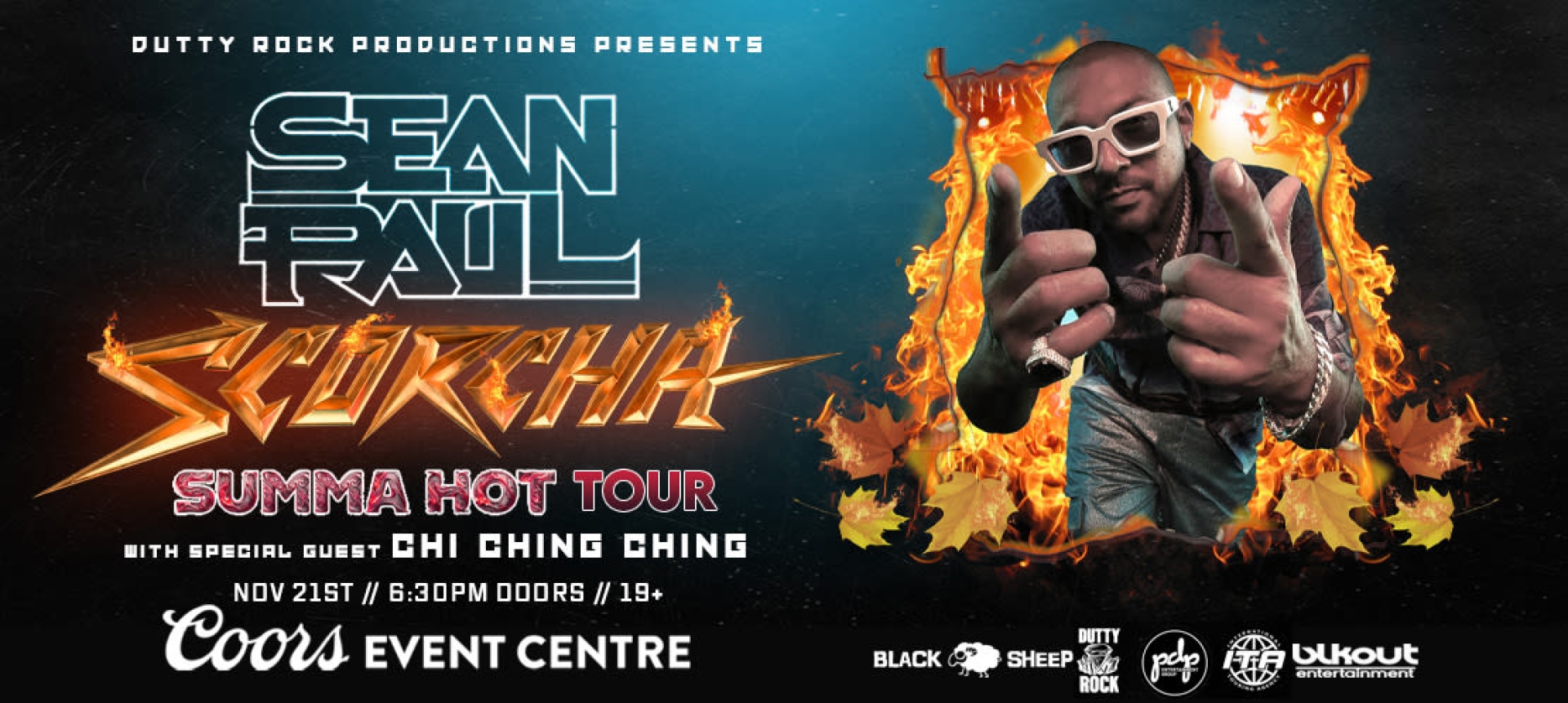 Poster for Sean Paul
