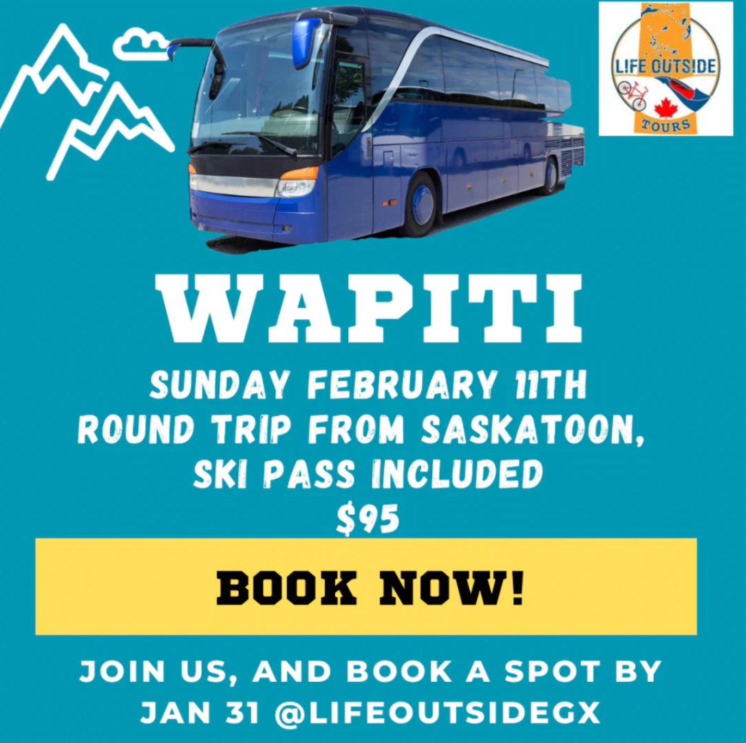 wapiti