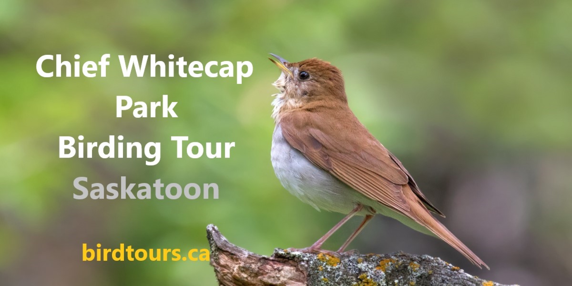 Chief Whitecap Park Birding Tour