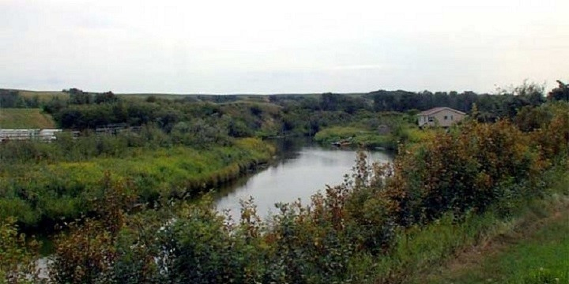 Eagle Creek Birdwatching Tour