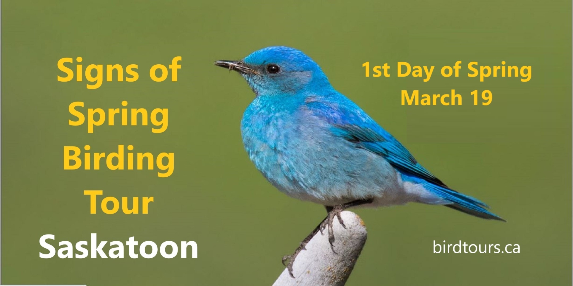 First Day of Spring Birding Tour