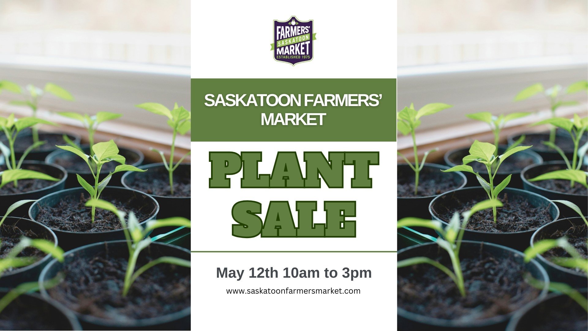 plant sale