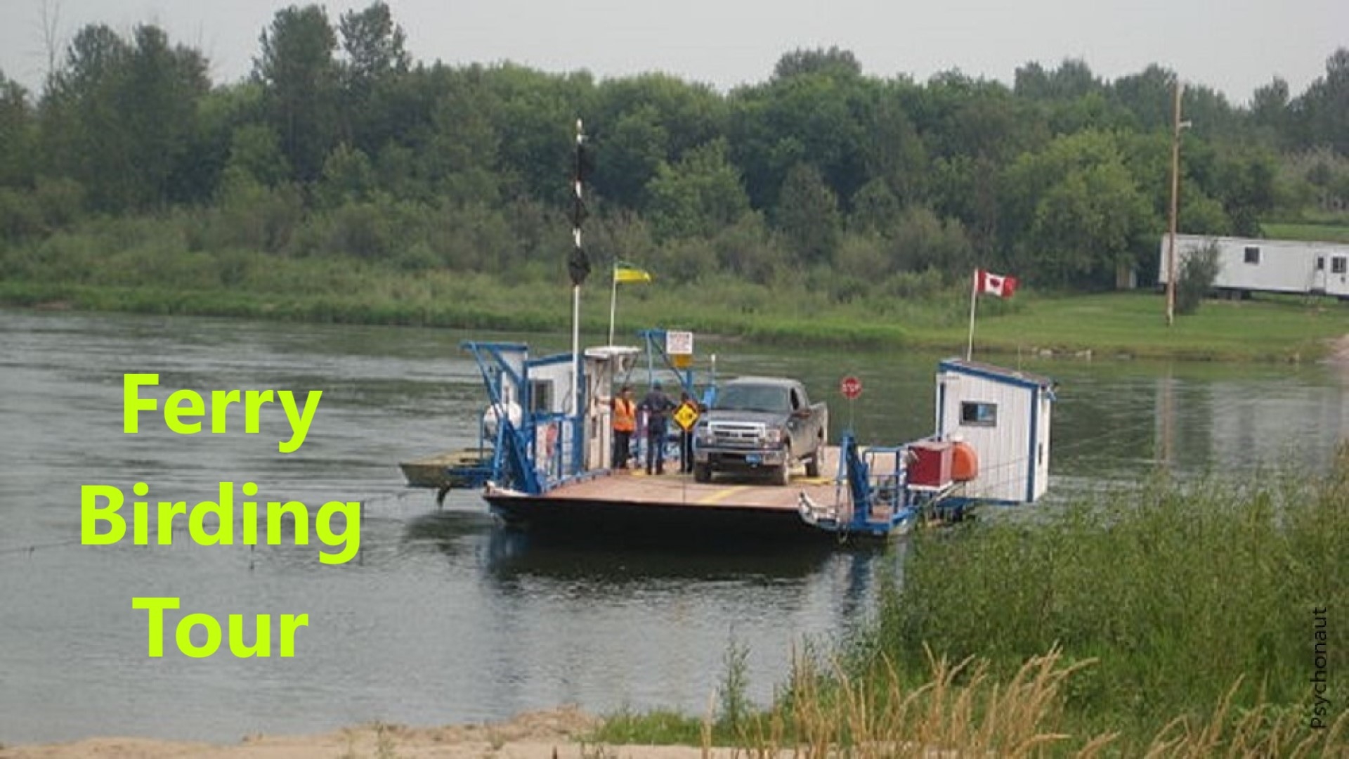 Ferry Birding Tour