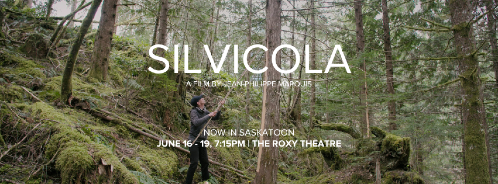 A banner image of a man peeling the bark from a tree in a densely forested area. Text overlayed reads the title of the film "SILVICOLA a film by Jean-Philippe Marquis". Smaller text below reads "Now in Saskatoon, June 16-19, 7:15PM at The Roxy Theatre"