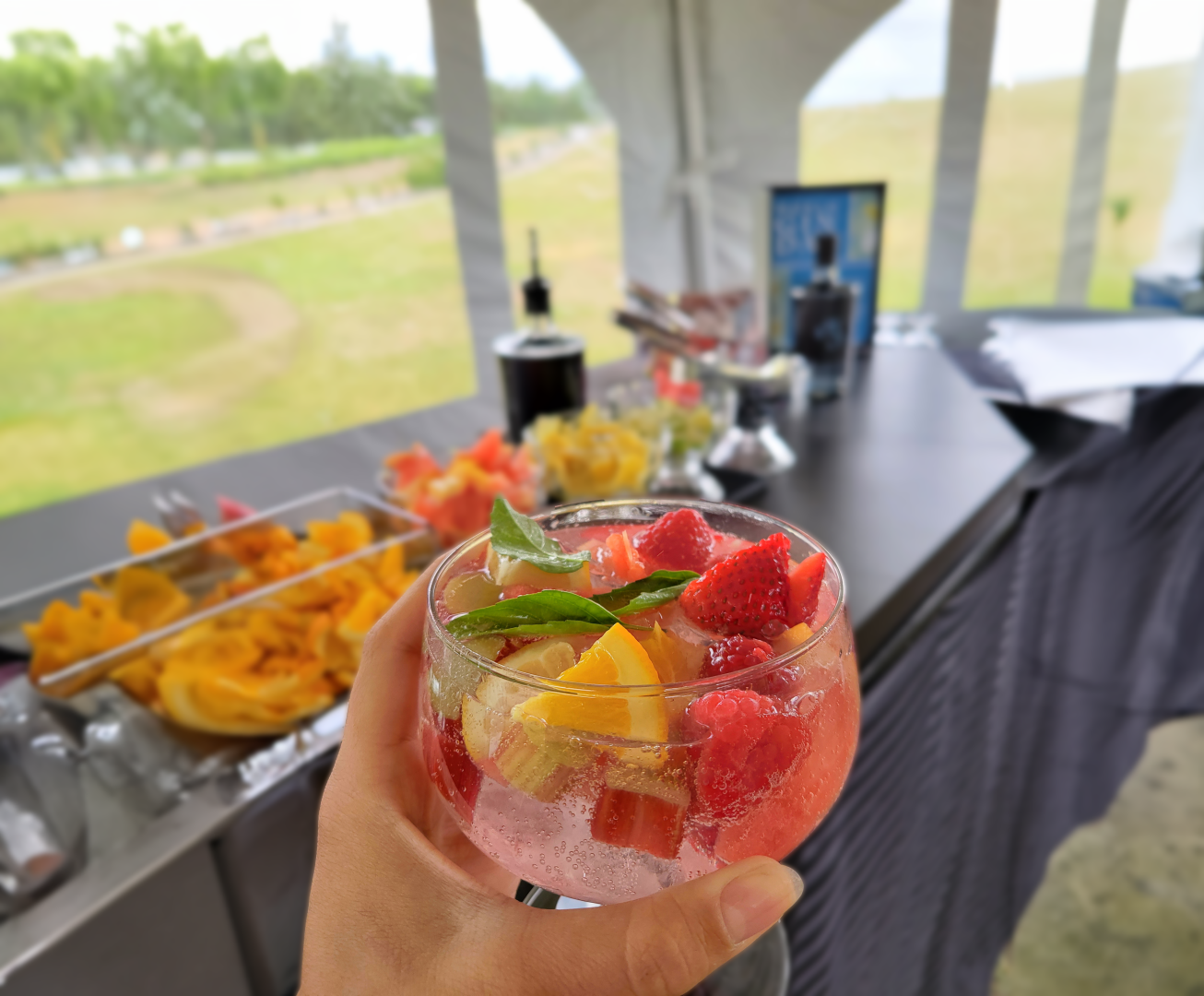 Gin Tonic cocktail filled with fruits from the fields of Black Fox