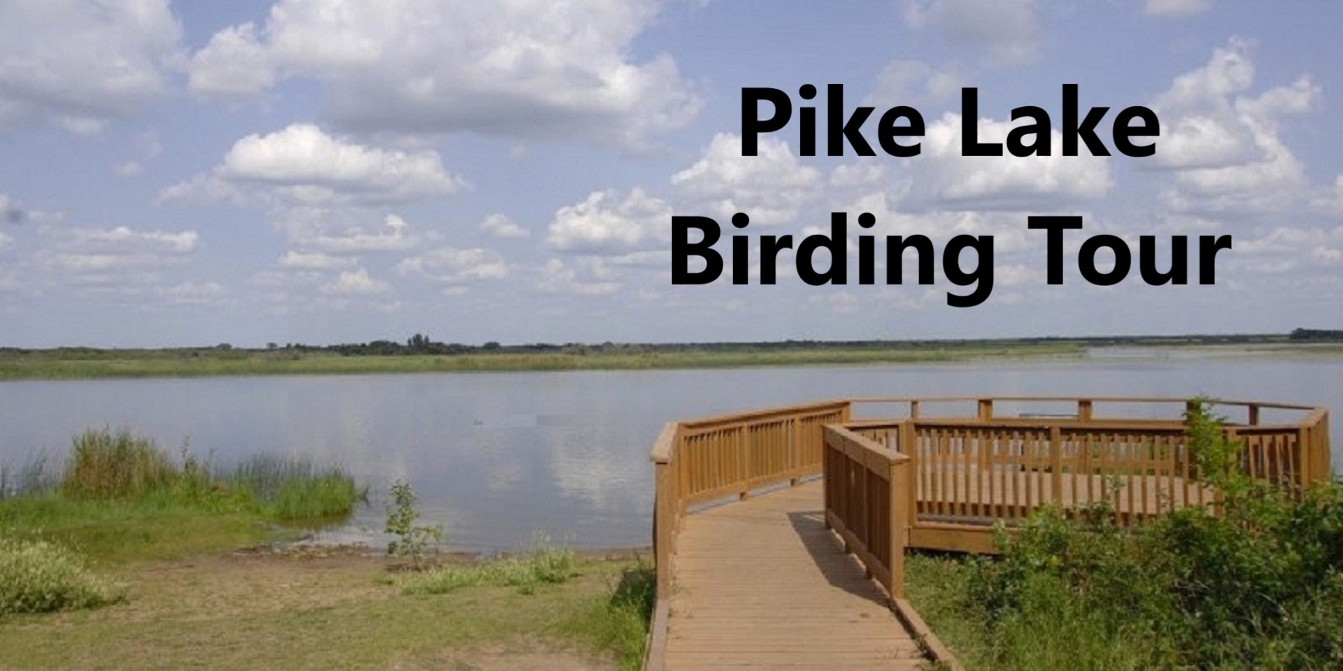 Pike Lake Birding Tour